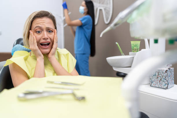 Best Broken or Chipped Tooth Repair in Louisburg, KS